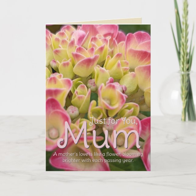 Nur für Sie: Mum Hydrangea Blume Card Dankeskarte (Vorderseite)