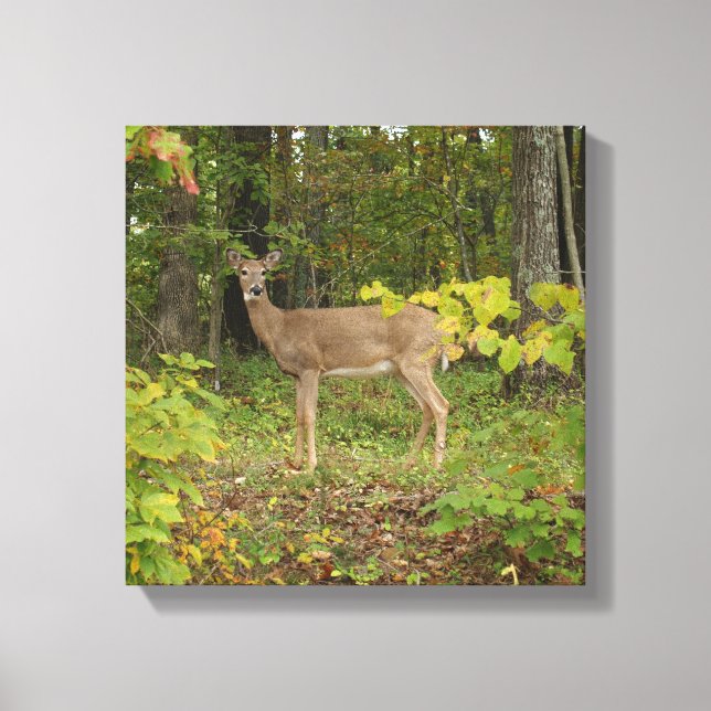 Nur Gewartet Leinwanddruck (Vorderseite)