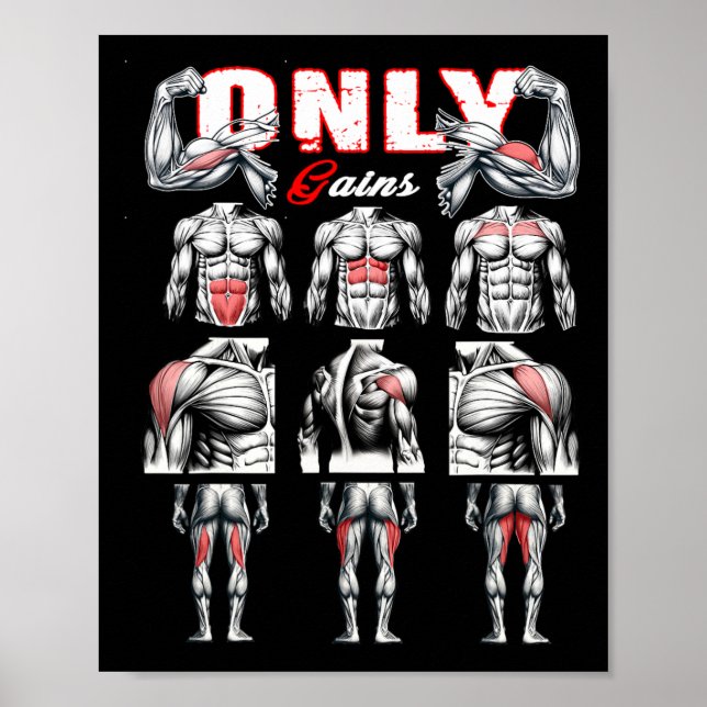 Nur Gewinner Bodybuilding Workout Gym1 Poster (Vorne)