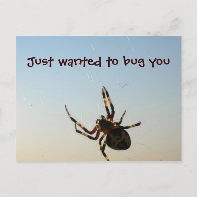 Nur Gewollt, Sie zu Bug Postkarte (Vorderseite)