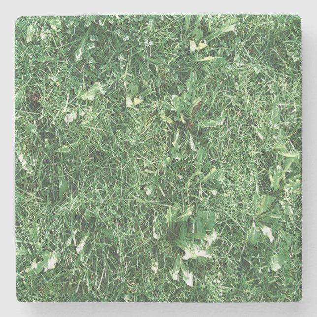 Nur Gras Steinuntersetzer (Vorderseite)