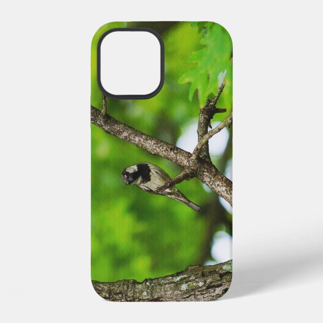 Nur herum sitzend iPhone-Hülle iPhone Hülle (Rückseite)