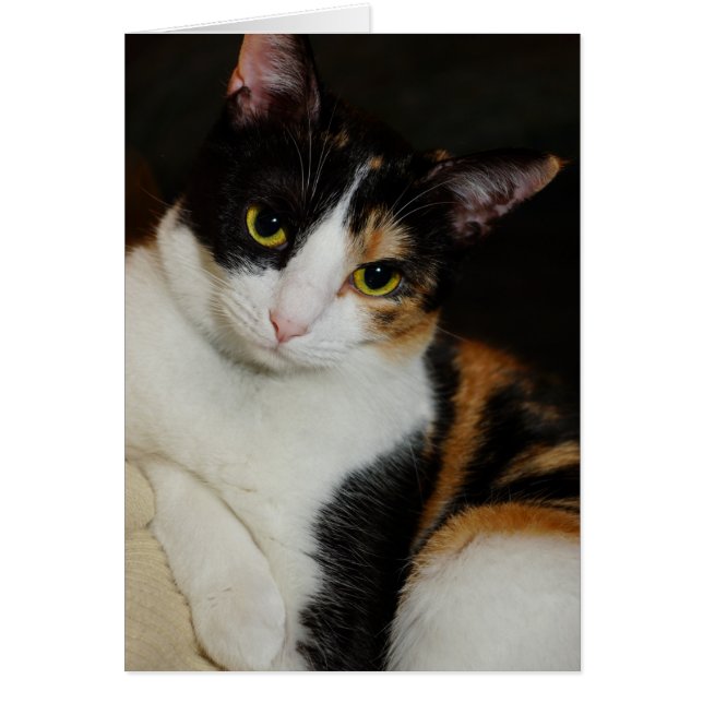 Nur herumhängen (Vorne)