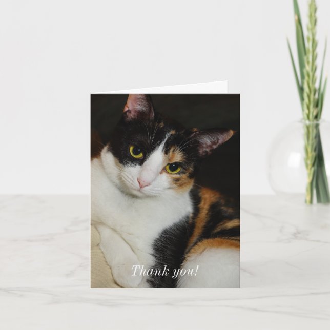 Nur herumhängen dankeskarte (Vorderseite)