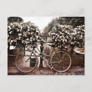 Nur in Amsterdam Postkarte