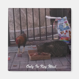 "Nur in Key West" Cat & Rooster Magnet