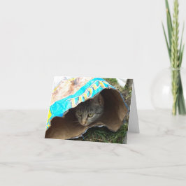 Nur Katzen und Kätzchen - leere Karte