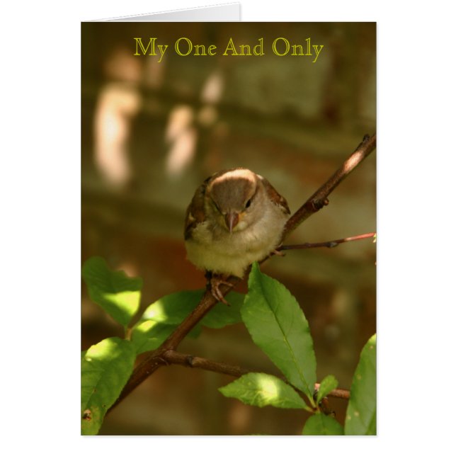 Nur mein Eins (Vorne)