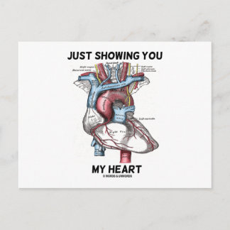 Nur mein Herz zeigen (anatomisches Herz) Postkarte