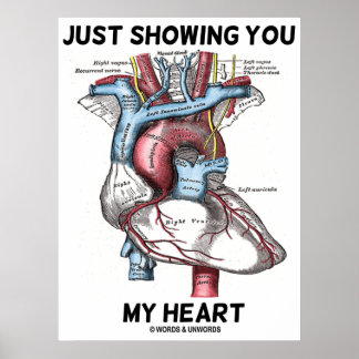 Nur mein Herz zeigen (Herzanatomie) Poster