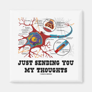 Nur meine Gedanken senden (Neuron / Synapse) Magnet