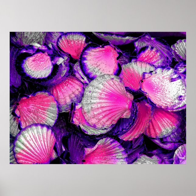 Nur Muscheln Poster (Vorne)