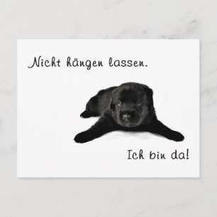 Nur Mut Postkarte