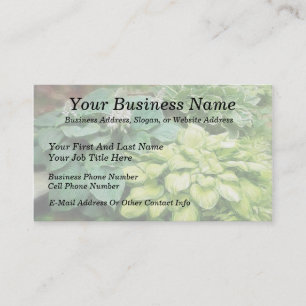 Nur noch ein Hosta! Visitenkarte