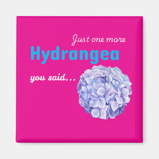 Nur noch eine Hortensie Magnet - heißes Rosa