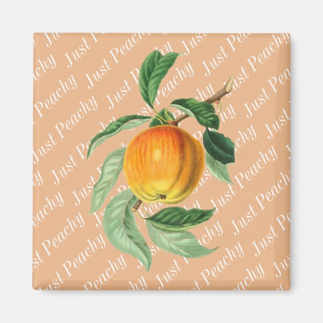 Nur Pfirsich Obst Magnet (Vorne)