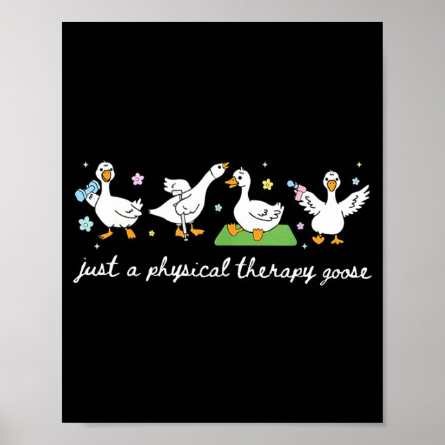 Nur Physiotherapie Gans Pt Physical Poster (Vorne)