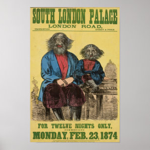 Nur Poster für zwölf Nächte