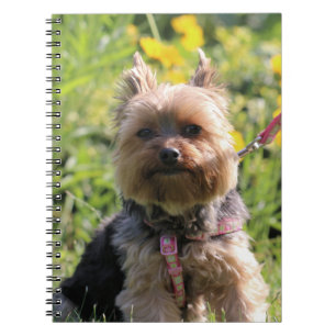 Nur schlichter Liebling Notizblock