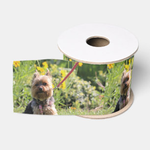 Nur schlichter Liebling Ripsband