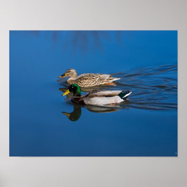 Nur Sie und ich Poster (Vorne)