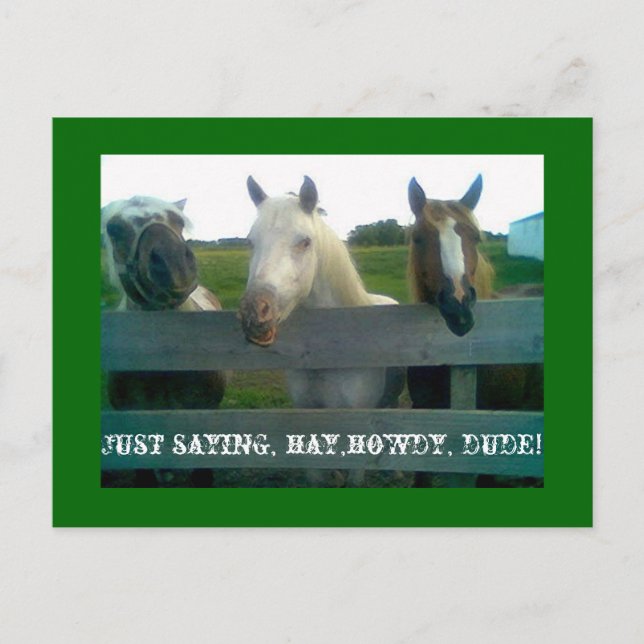 Nur Sprichwort, Heu, Heu, Typ! Postkarte (Vorderseite)