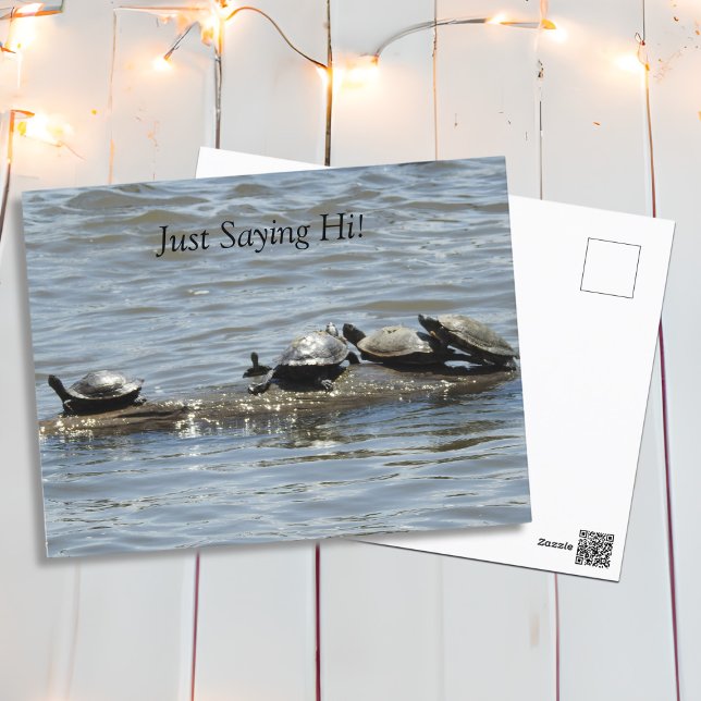 Nur Sprichwort Hi, Niedliche Schildkröten Sonnenba Postkarte (Von Creator hochgeladen)