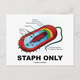 Nur Staph (Bacteria Health Medicine Spaß) Postkarte