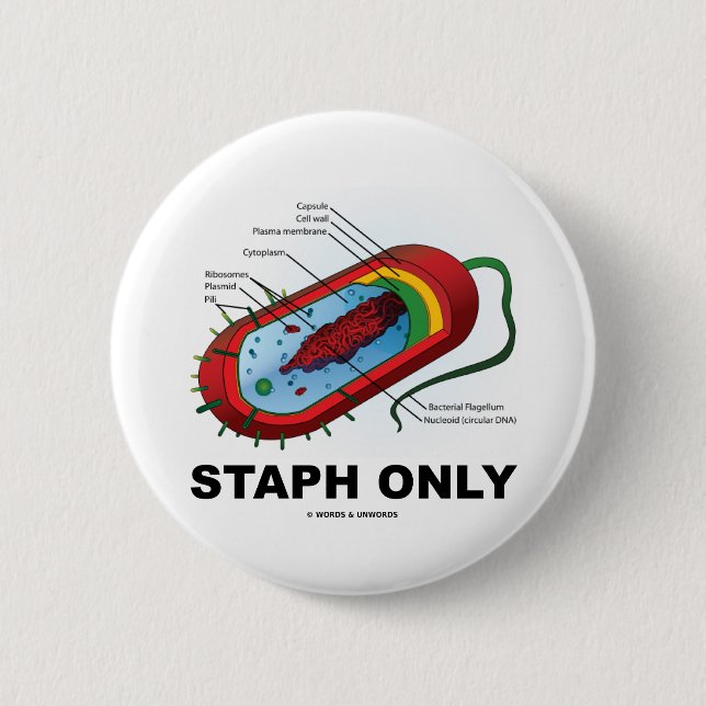 Nur Staphylo (Prokaryote-Gesundheits-Medizin-Spaß) Button (Vorderseite)
