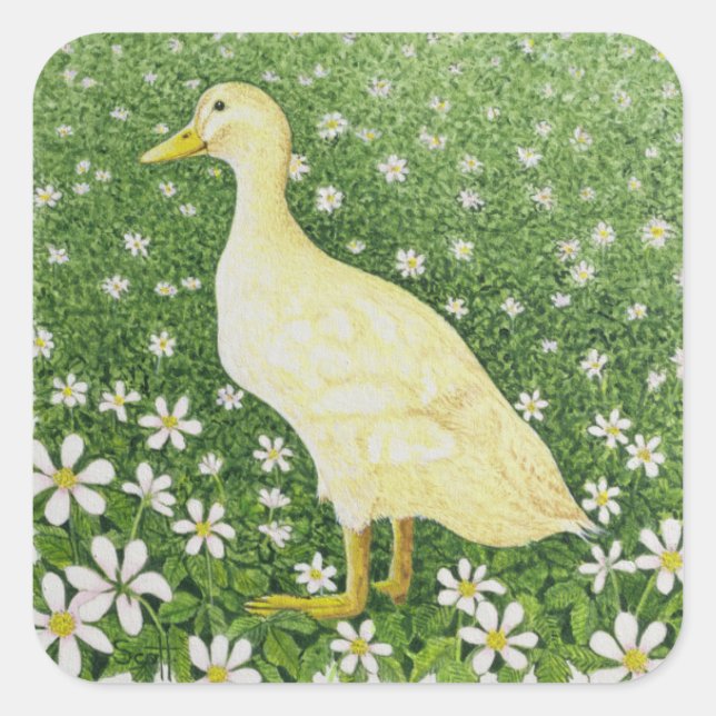 Nur suchen quadratischer aufkleber (Vorderseite)