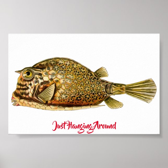 Nur um Poster herumhängen (Vorne)