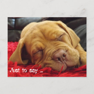 Nur um zu sagen ... postkarte