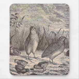 Nur Wachteln Mousepad