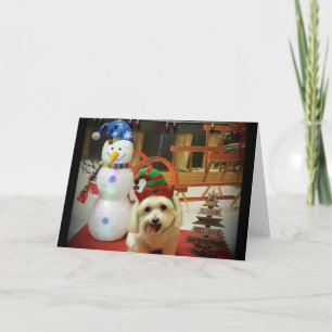 NUR WEIHNACHTEN AN UNSEREN HUNDENVERSORGER