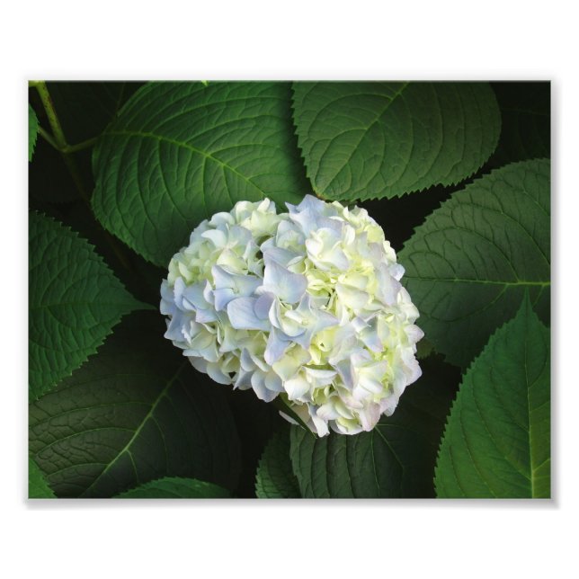 Nur WOW! Fotodruck (Vorne)