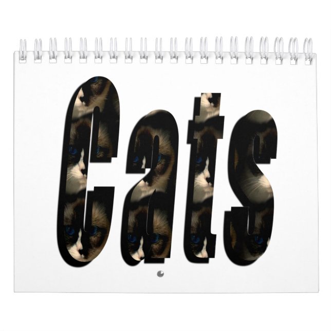 Nur zur Liebe von Katzen, Kalender (Titelbild)