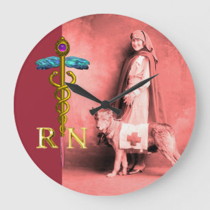 NURSE AND RESCUE DOG /Gold Caduceus RN Emblem Große Wanduhr