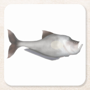 Nurseryfish Rechteckiger Pappuntersetzer