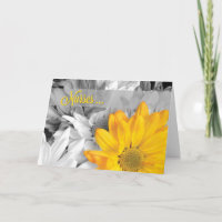 Nurses Day Golden Gerbera Daisy on Black and White