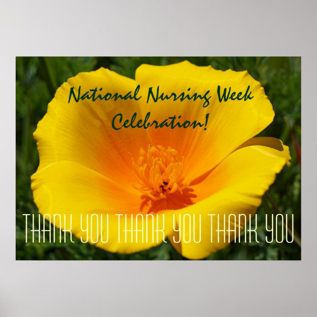 Nursing Week Celebration poster danke (Vorne)