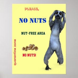 Nuss-freie Zone Poster