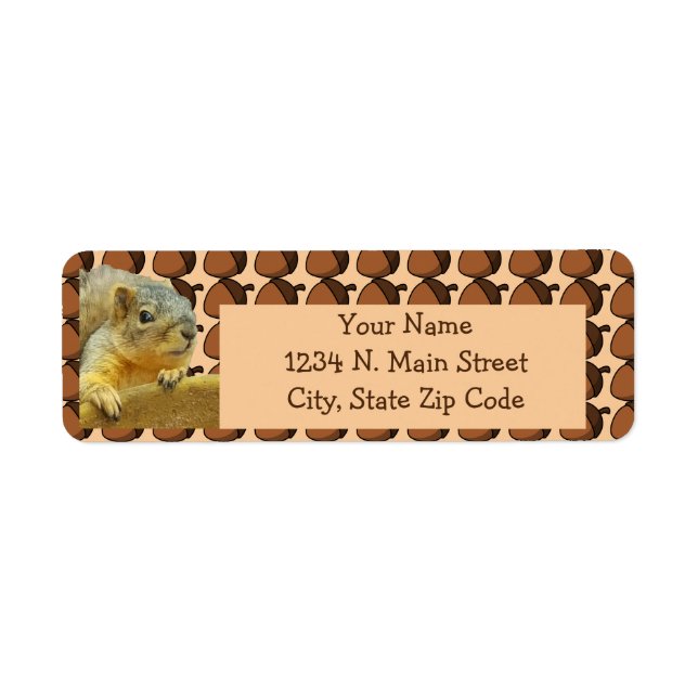 Nüsse Eichhörnchen (Vorne)