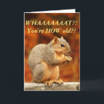 Nüsse! Funny Birthday Card Karte<br><div class="desc">Mit dieser niedlichen Eichhörnchen-Geburtstagskarte kannst du dich mit deinen Freunden/der Familie abfinden!</div>