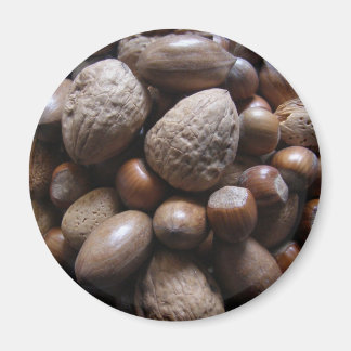 Nüsse! -Magnete Magnet