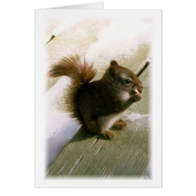 Nüsse über dich! (Vorne)