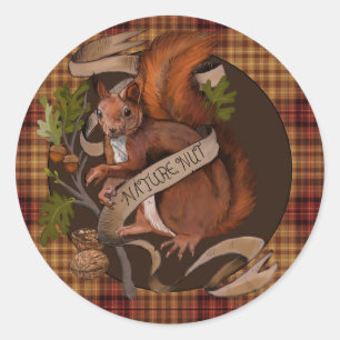 Nusseeichhörnchen Runder Aufkleber