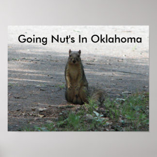 Nuss's in Oklahoma Poster