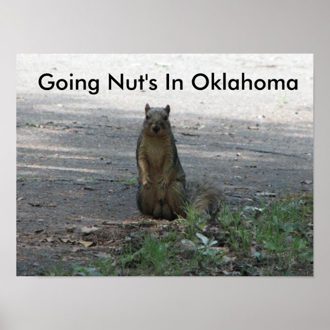 Nuss's in Oklahoma Poster (Vorne)