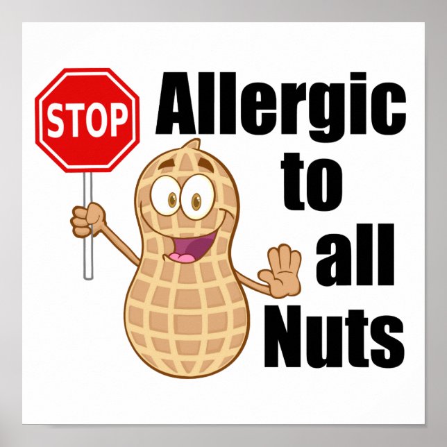 Nut Allergy Alert Poster (Vorne)