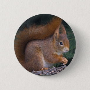 Nut Brunch-Abzeichen Button